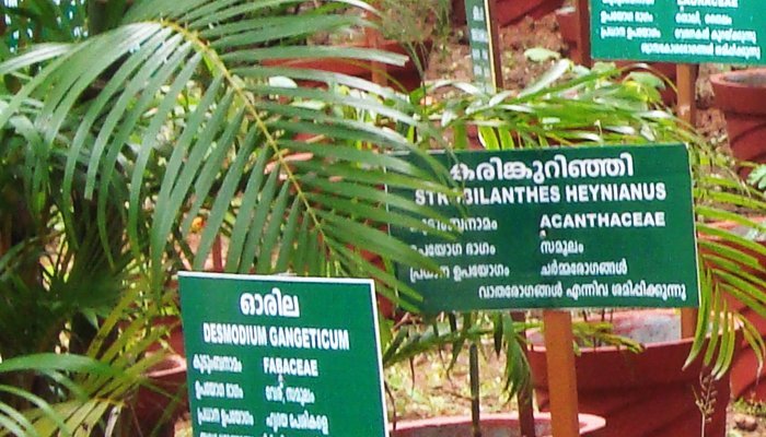 The Uppod Kannan Herbal park established by Itoozhi Ayurveda