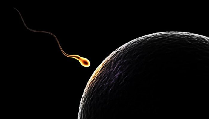 Male Infertility causes and Ayurvedic Treatment