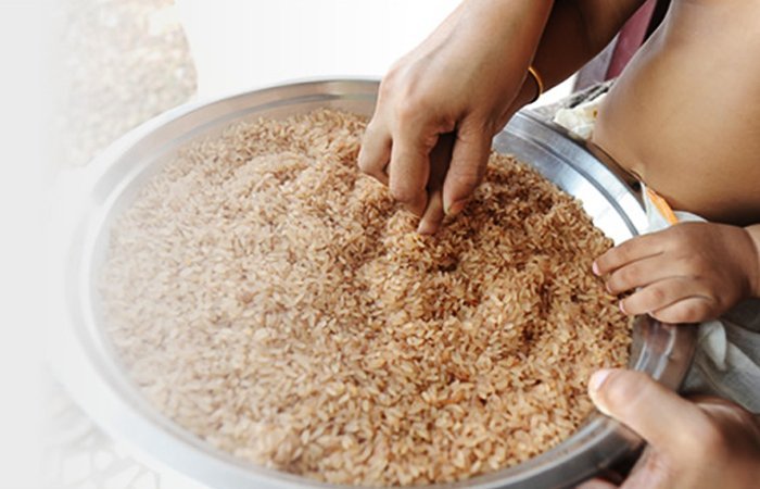 Vidyarambham-at-Itoozhi-Ayurveda