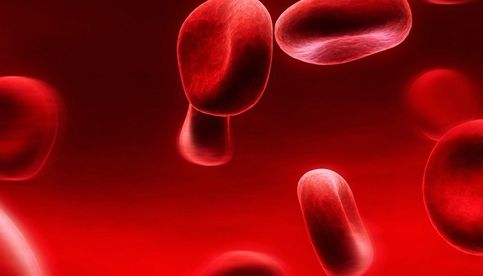 Rakthamoksham-in-Panchakarma-Itoozhi-Ayurveda