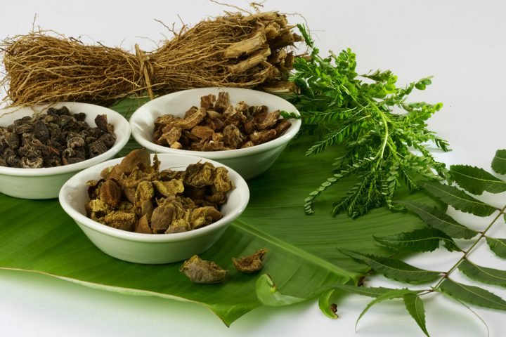 Ayurveda-Workshop--Principles-and-Practice-of-Bandages-in-Agasthya-Marmashastra