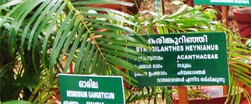 Herbal-Park-Ayurveda-Kannur