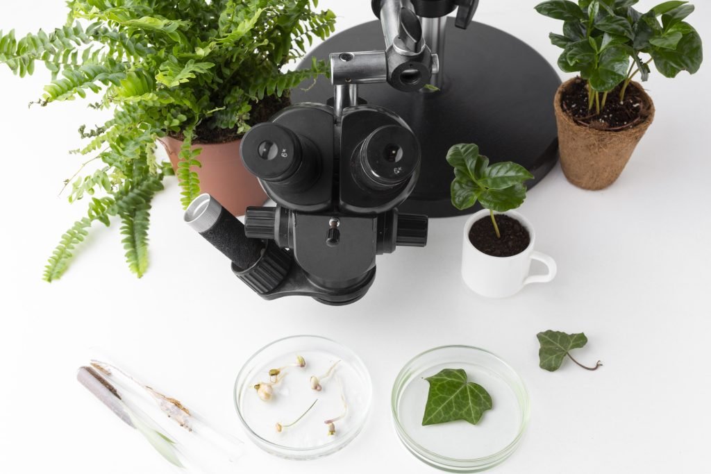 Ayurveda and modern science for Alzheimers